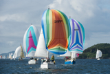 whyw13 tue 1951